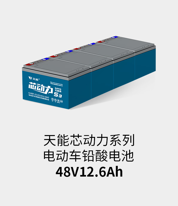 vwin德赢AC米兰相助电池48v12ah