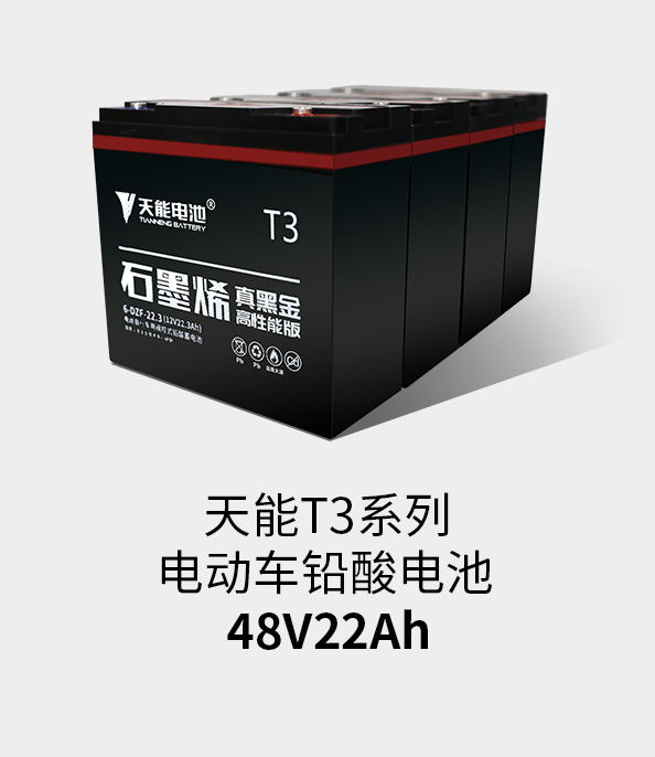 vwin德赢AC米兰相助T3系列48v22ah